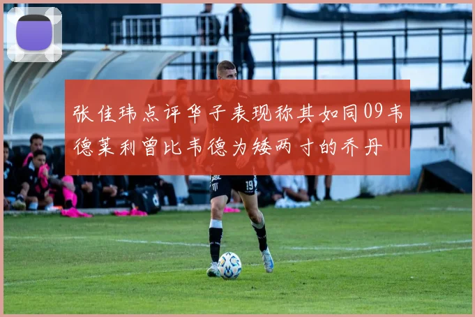 张佳玮点评华子表现称其如同09韦德莱利曾比韦德为矮两寸的乔丹