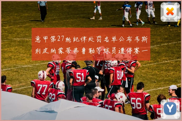 意甲第27轮纪律处罚名单公布韦斯利皮纳蒙蒂弗鲁勒等球员遭停赛一轮