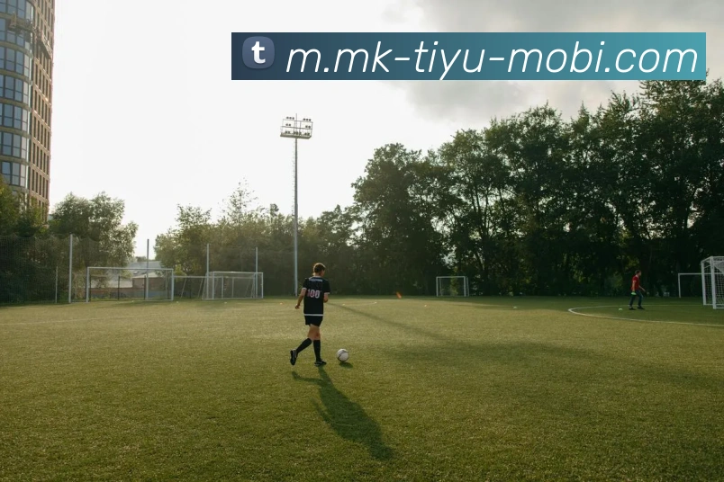 App Interface Preview