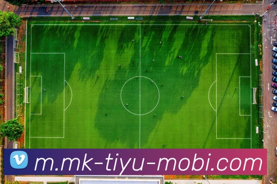 MK体育APP 封面图